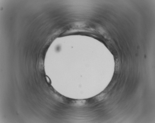 X0000064740474200603131323