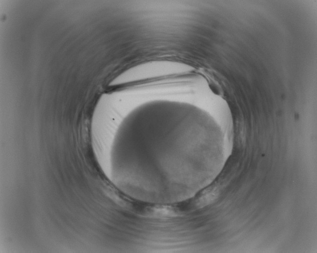 X0000064740475200603131323