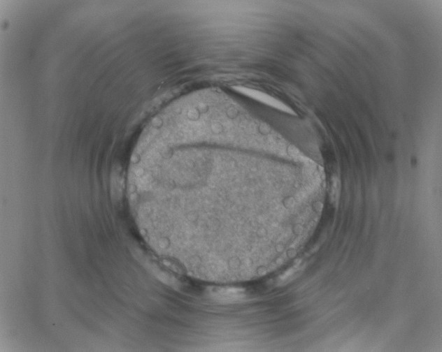 X0000064740476200603131323