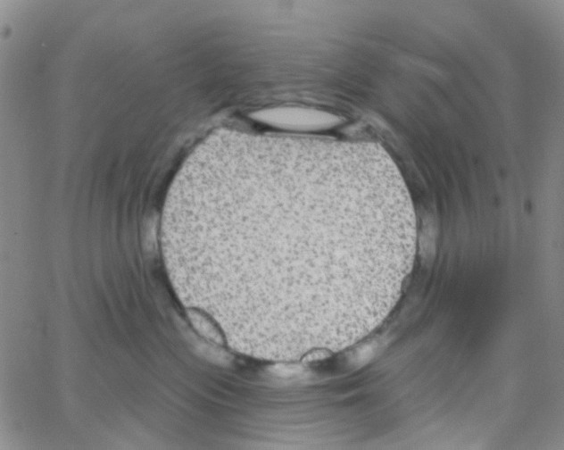 X0000064740477200603131323