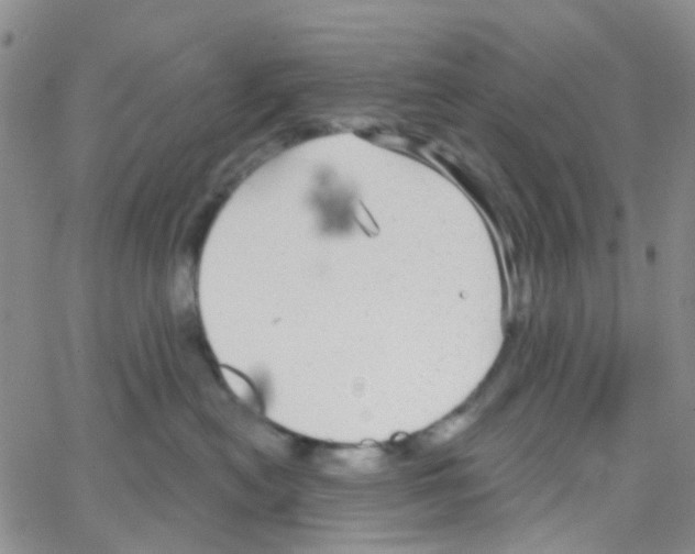 X0000064740478200603131323