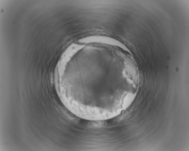 X0000064740479200603131323