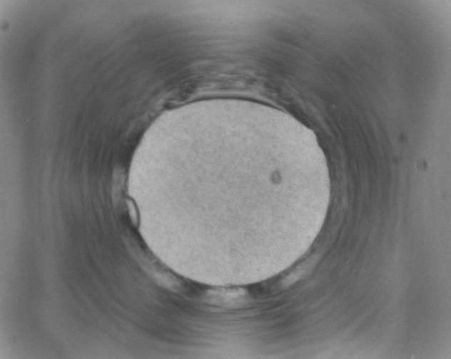 X0000064740480200603131323