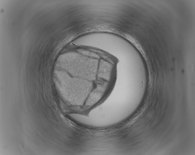 X0000064740481200603131322