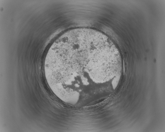 X0000064740483200603131322