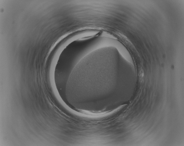 X0000064740484200603131322