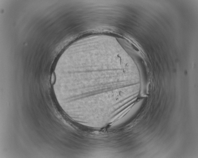 X0000064740485200603131322