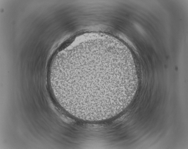 X0000064740486200603131322