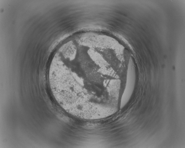 X0000064740487200603131322