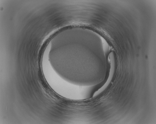 X0000064740488200603131322