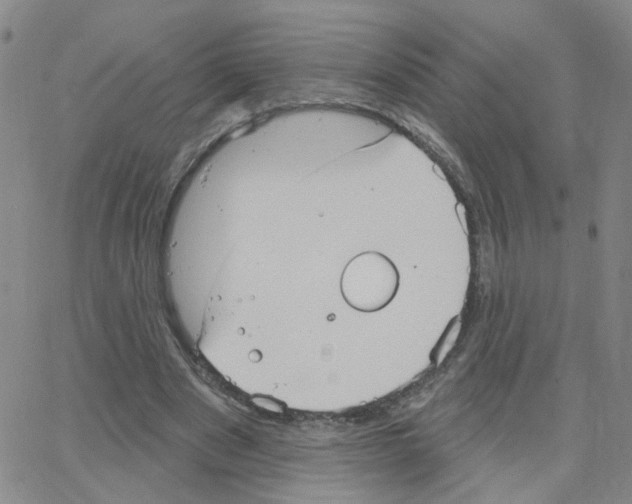 X0000064740489200603131322