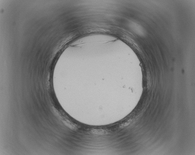 X0000064740490200603131322