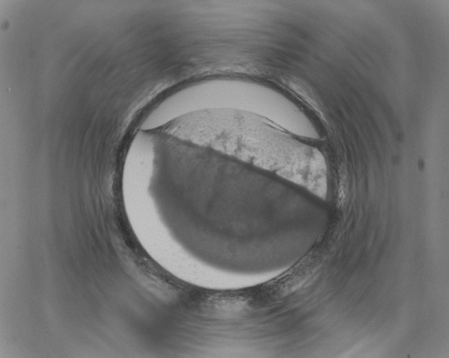 X0000064740491200603131322