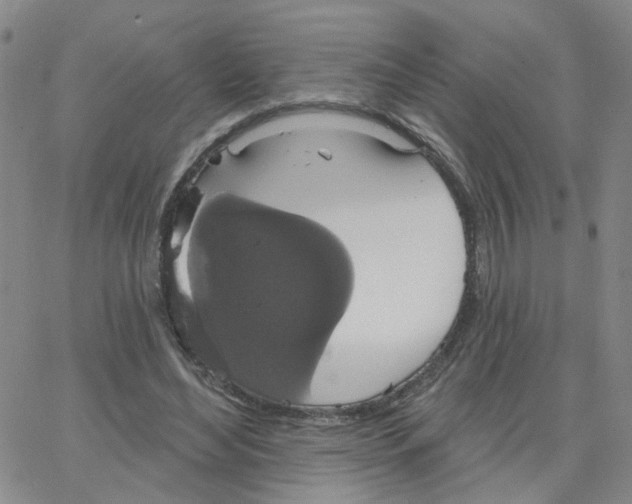 X0000064740492200603131322