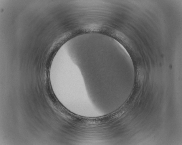 X0000064740494200603131322