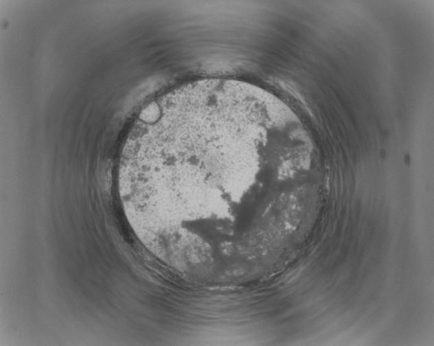 X0000064740495200603131322