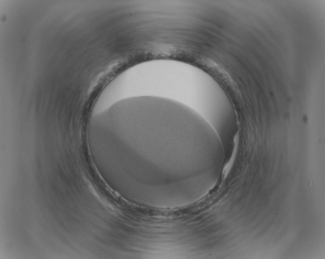 X0000064740496200603131322