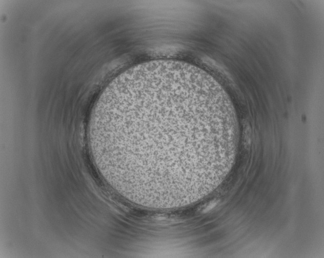 X0000064740498200603131322