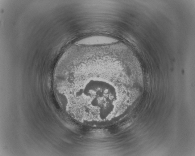 X0000064740499200603131322