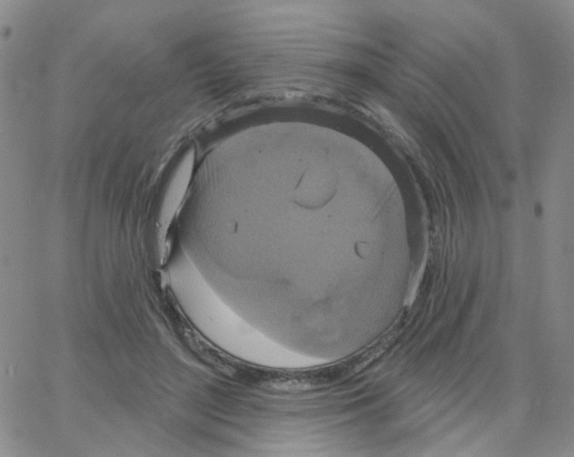 X0000064740500200603131322