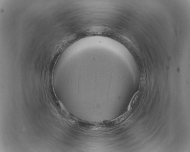 X0000064740504200603131322