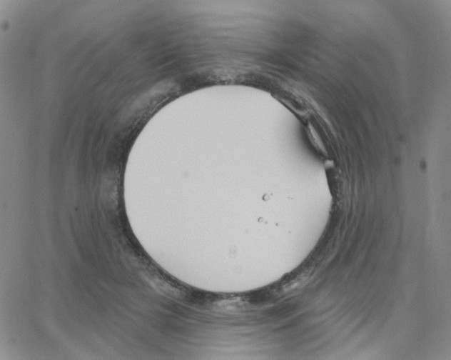 X0000064740505200603131322