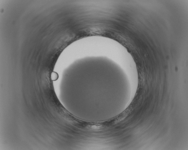 X0000064740506200603131322