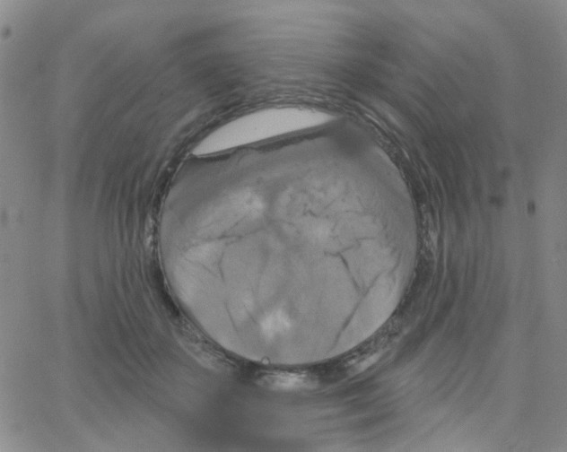 X0000064740507200603131322