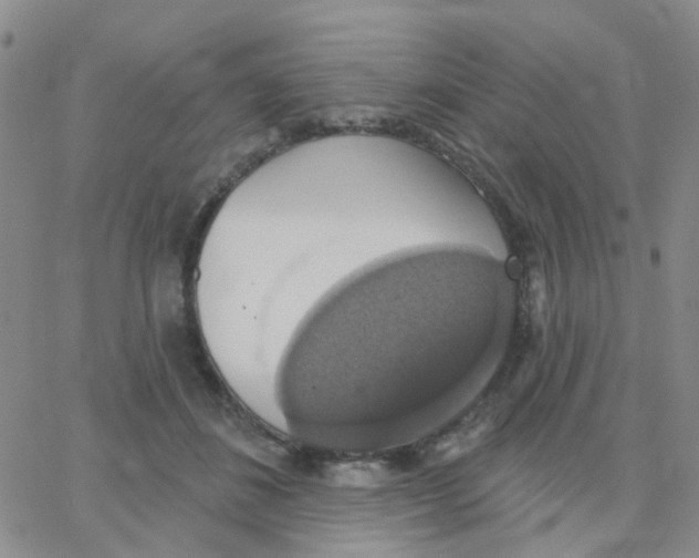 X0000064740508200603131322