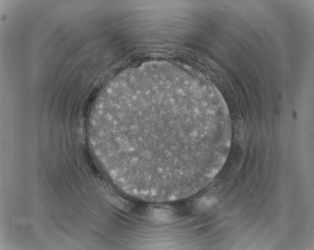 X0000064740510200603131322