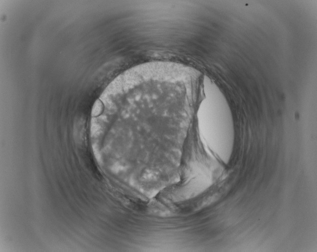 X0000064740511200603131322