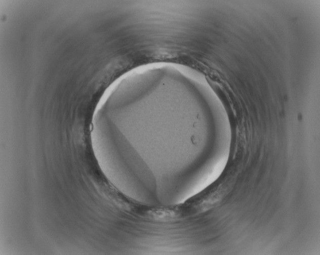 X0000064740512200603131322