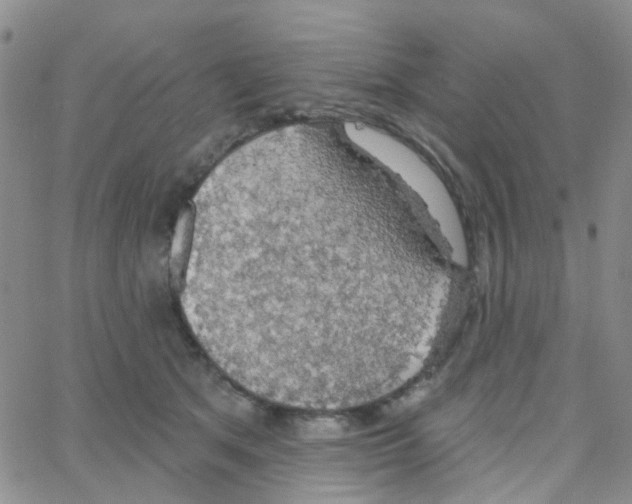 X0000064740513200603131322