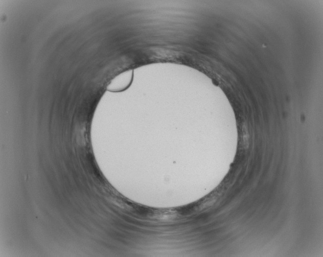 X0000064740514200603131322