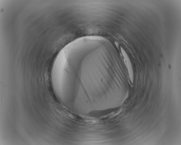 X0000064740516200603131322