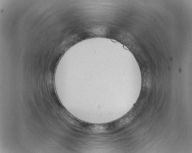 X0000064740518200603131322