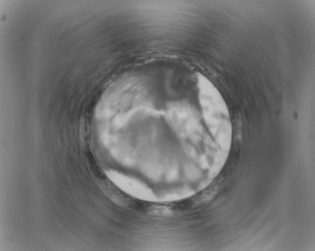 X0000064740519200603131322