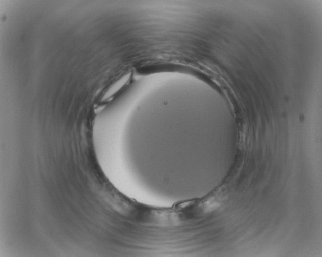 X0000064740520200603131321