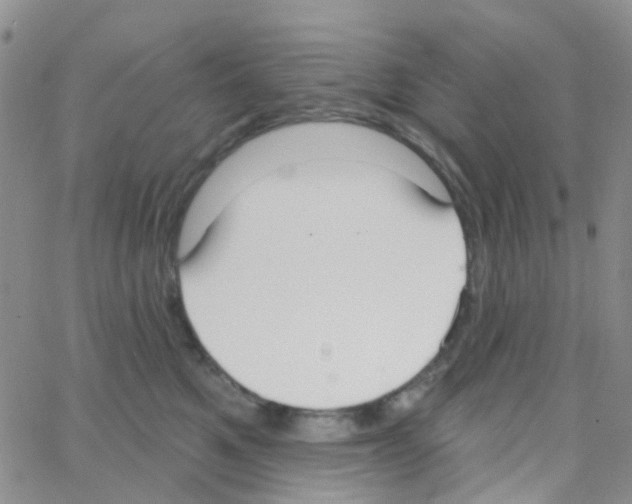 X0000064740521200603131321