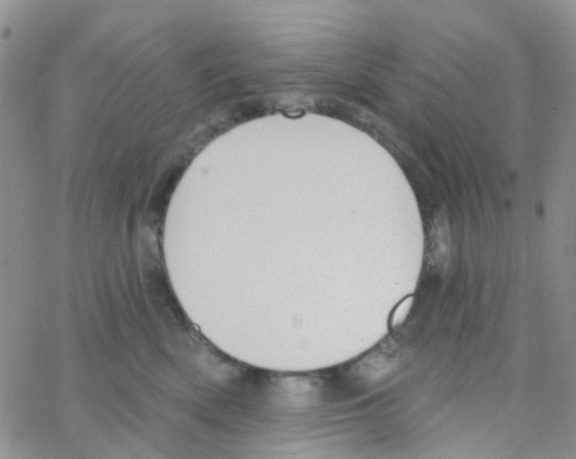 X0000064740522200603131321