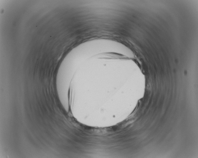 X0000064740524200603131321