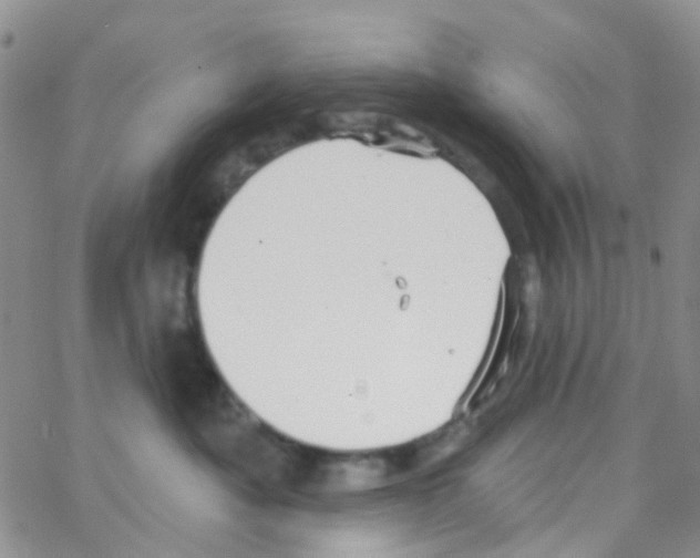 X0000064740525200603131321