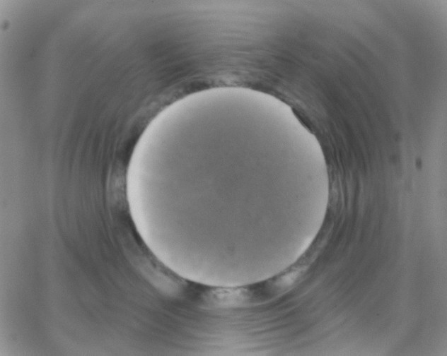 X0000064740526200603131321