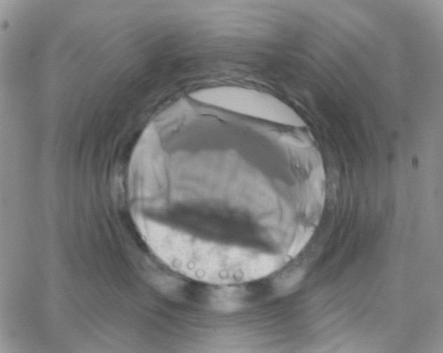 X0000064740527200603131321