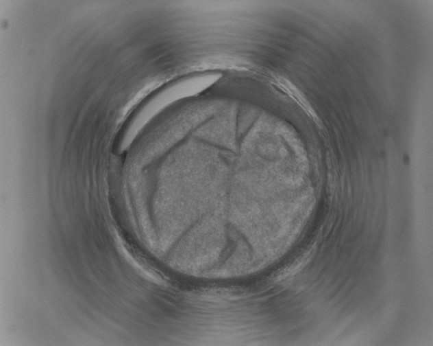 X0000064740530200603131321