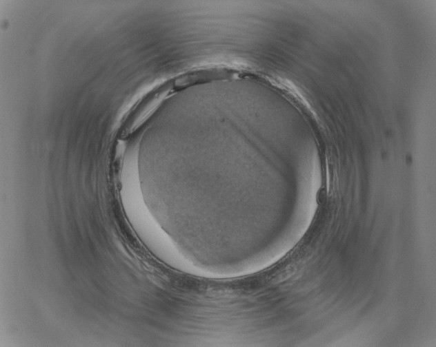 X0000064740531200603131321