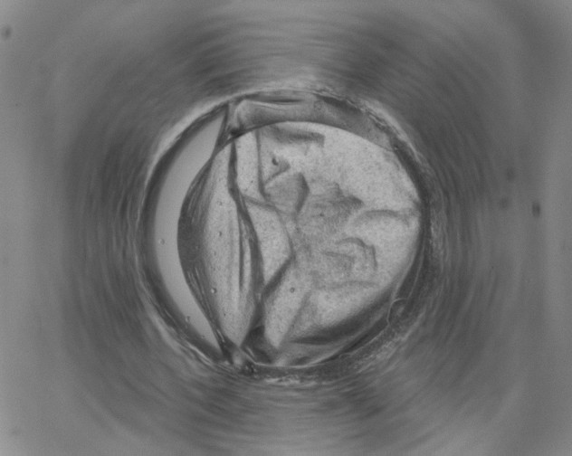 X0000064740532200603131321