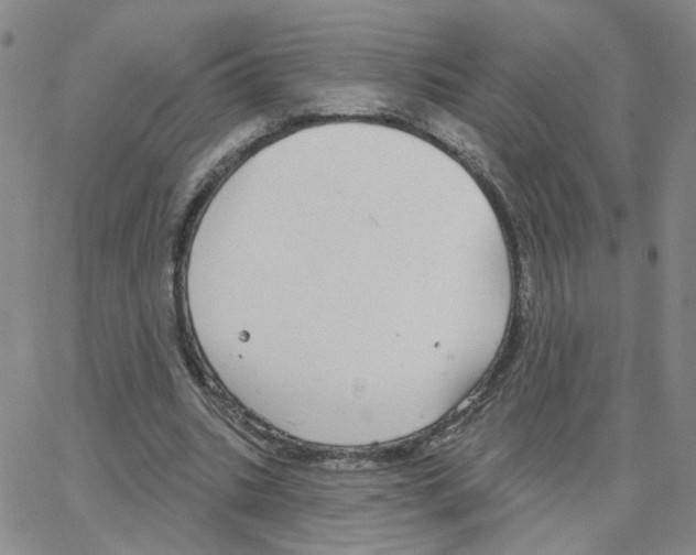 X0000064740535200603131321