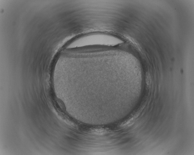 X0000064740540200603131321