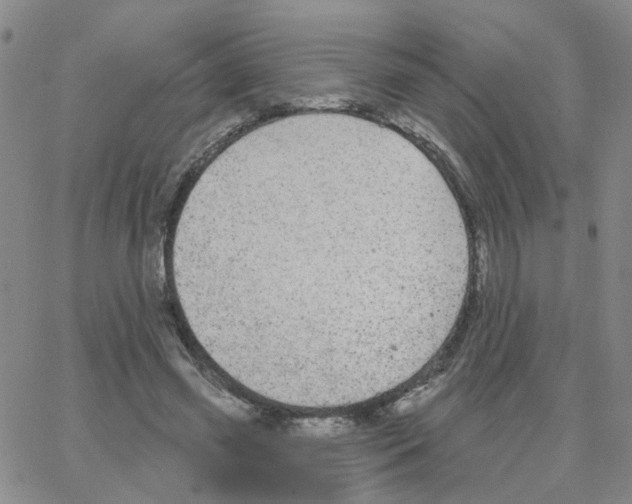 X0000064740541200603131321